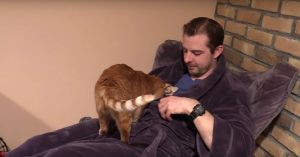 Wat doe je als het ijskoud hebt en je hebt 2 katten thuis?