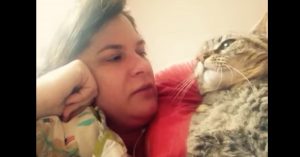 Zij geeft haar kat kusjes op haar koppie. Maar let hoe het beestje daarop reageert..