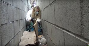 Kittens zitten weggestopt onder het puin. Dan zakt zij met een touw naar beneden..