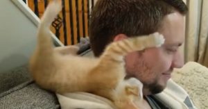 Weeskitten werd geadopteerd. Kijk haar nu eens met haar nieuw baasje..