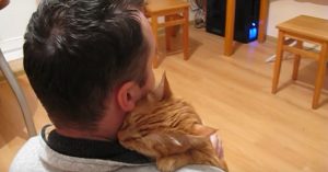 Je hebt aanhankelijke katten en je hebt deze kat! Dit is zó lief!