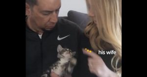 Hij is een typische hondenpersoon. Maar dan vangt hij tijdelijk een kitten op..