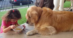 Meisje eet voor de neus van deze brave hond. Hoe het beestje daarop reageert is zó knap!