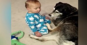 Baby kan z’n ogen maar moeilijk open houden. Maar deze hond zorgt goed voor ‘m!