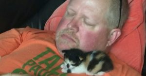 Een tijdje geleden zei hij dat hij nooit een kat wilde vasthouden. Maar zie ‘m nu eens