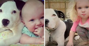 Schitterend: baby en puppy groeien samen met elkaar op