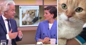 Stichting van Geert Wilders biedt financiële hulp bij dure operaties van huisdieren