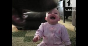 Hond pakt popcorn af van deze baby. Het kleine meisje reageert zó grappig!