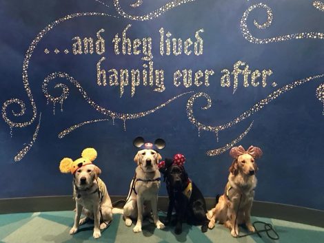 honden-disney1