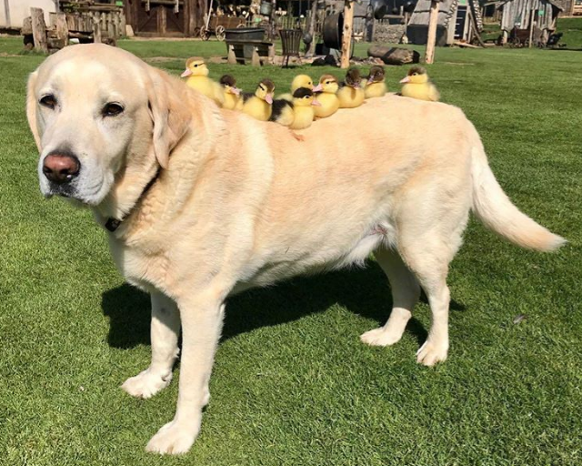 Screenshot 2018-05-28 at 16.31.00