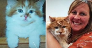 Op haar 20e nam zij een kat… Je raadt nooit hoe oud het beestje nu is!