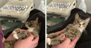 Kat komt achter groots nieuws. Haar reactie daarop? Hilarisch!