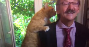 Wetenschapper is bezig met een interview. Maar dan wil de kat ook wat aandacht!