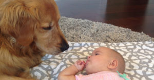 Baby ligt naast de hond en heeft de grootste verhalen te vertellen..