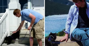 Man die moeite heeft met persoonlijk contact wordt gevraagd om met de kat te wandelen