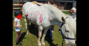 Verontrustend: op steeds meer kinderboerderijen tekenen kinderen op paarden..