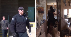 Hele politiemacht gaat naar afgelegen plek om 200 honden en katten te redden