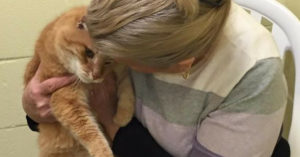 Vrouw adopteert katje. Dan gaat ze terug naar het asiel voor z’n 16-jarige beste vriendje