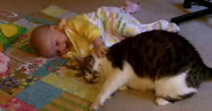 Lieve kat moet op de baby passen. Wat ‘ie dan doet is zó lief!