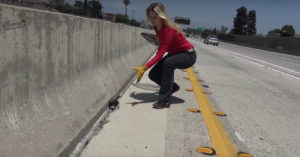 Zij zijn geschokt als ze een melding krijgen van een gedumpt kittentje langs de snelweg..