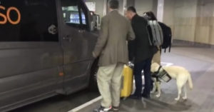 Schokkend: blinde vrouw mag de bus niet in, omdat ze een geleidehond heeft