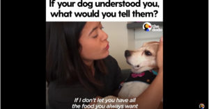 Schitterend: de dingen die zij tegen haar hond zou zeggen als ‘ie haar verstond..