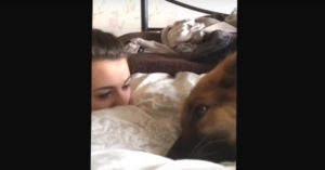 Hond vertelt over zijn slechte dag.. Gelukkig luistert z’n baasje aandachtig naar hem!
