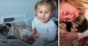 Té schattig: wat dit meisje allemaal tegen haar hondje zegt!