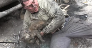 Deze topper redt na de hevige bosbranden in Californië een aangeslagen katje