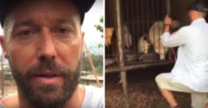 Hondenredder reist over de hele wereld om honden te redden uit vleesfabrieken