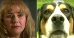 Zij wil haar hond wegdoen. Maar als die in haar arm bijt, beseft ze dat het om leven en dood gaat