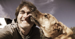 Onderzoek laat zien: lik van een hond kan heel gevaarlijk zijn voor mensen