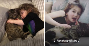 Super leuke familie: deze 2 meisjes zijn zusjes en deze 2 katjes zijn broer en zus!
