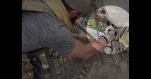 Soldaat vindt een puppy midden in een oorlogsgebied..
