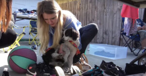 Zij hebben al talloze dieren van straat gered. Nu krijgen ze melding van een aangereden hond..