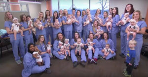 Babyboom in ziekenhuis: meer dan 30 collega’s krijgen binnen één jaar tijd een baby