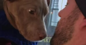 Wat gebeurt er als je een hond redt? Deze emotionele video laat het zien