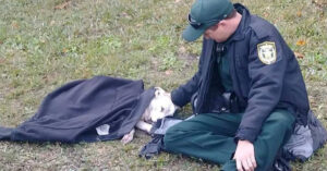 Bijzonder: voorbijganger ziet dat politieagent een hond aan het troosten is