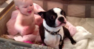 Moeder zegt tegen de hond dat hij uit het babybedje moet springen.