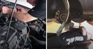 Zij rijden over de snelweg als ze een dierengeluid onder de motorkap horen..