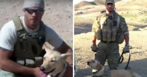 Soldaat heeft een hechte band opgebouwd met de speurhond die hij trainde…
