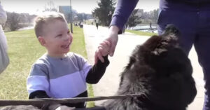 Iedereen wil grote hond knuffelen. En dat kunnen we helemaal begrijpen!