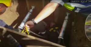 Voorbijgangers horen in Zuid-Afrika gehuil uit het riool komen..