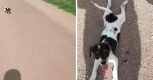 Argentijnse mountainbiker treft een eenzame pup aan op een verlaten zandweg