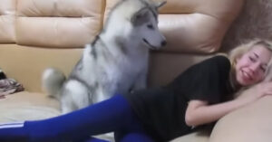 Hond wil koekje. En dat laat ‘ie ‘heel subtiel’ weten..