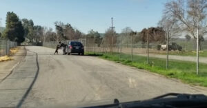 Arme hond rent wanhopig achter auto van baasje aan nadat hij is gedumpt