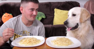 Man en z’n hond doen een wedstrijdje spaghetti eten..