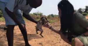 Amerikaanse vrouw vindt in Liberia een pup die bijna dood is..