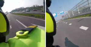 Topper: motoragent stopt langs snelweg om eend en kuikens te redden