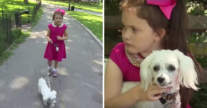 8-jarig meisje wandelt alleen met de hond. En dat levert de nodige kritiek op..